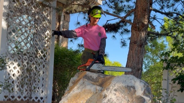 Untitled Precision ground-based tree pruning and property care in Thornton
