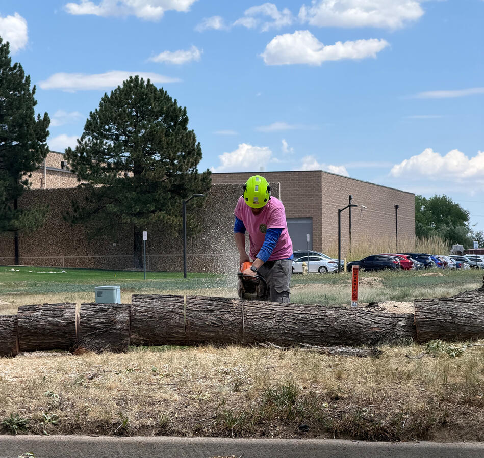 Untitled Professional chainsaw wood cutting and bucking by Emberglow in Thornton, CO